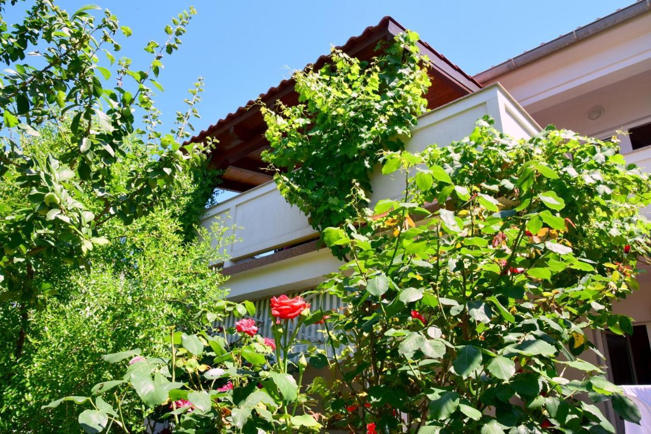 Villy City Apartment Palit Εξωτερικό φωτογραφία